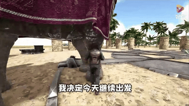 帝哥个人解说
