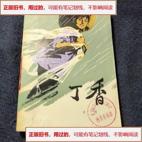 丁香 成人 小说