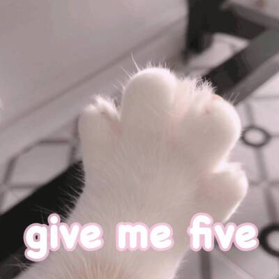 give me five怎样回复截图