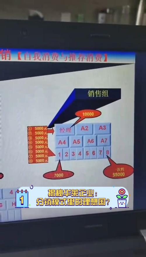 华莱平台
