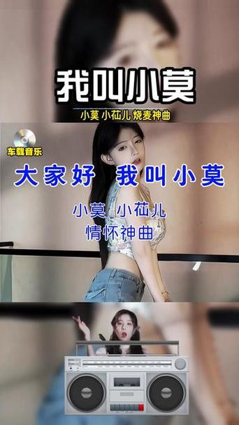 大家好我叫小莫今天夜里全部歌词