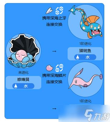 珍珠贝进化哪个好