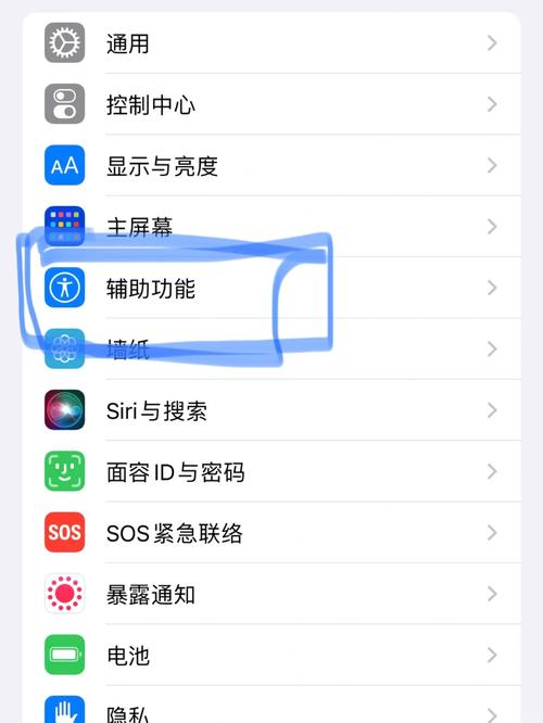 苹果手机6s悬浮球在哪设置方法