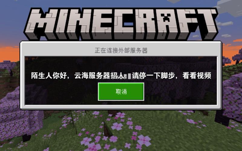 我的世界国际版服务器ip手机