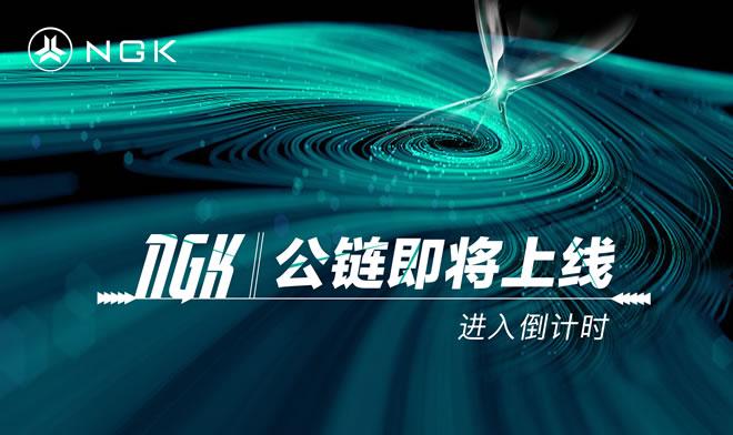 公链项目
