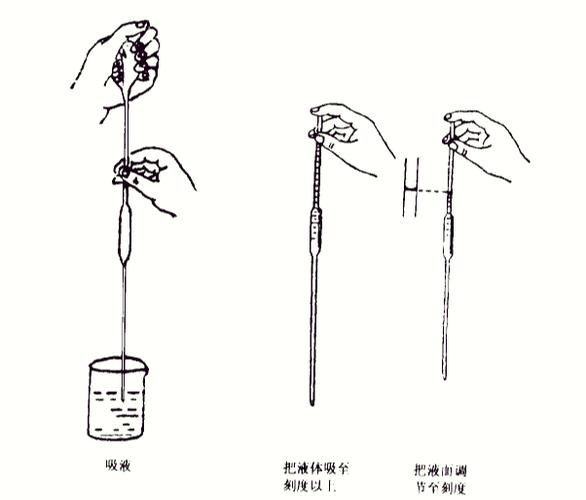 移管是什么意思缩略图