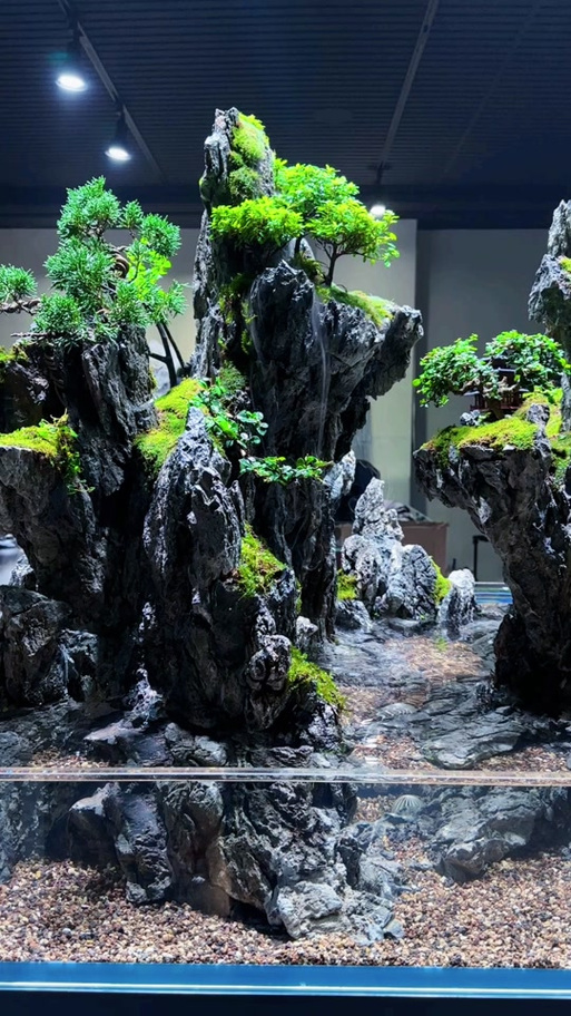水陆缸造景教程视频