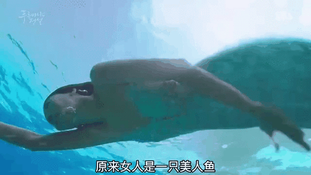 我想看小偷抓美人鱼