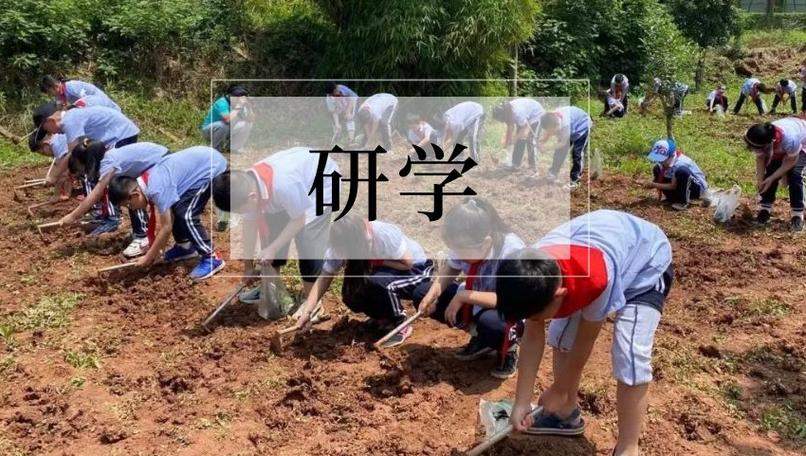 研学是什么意思