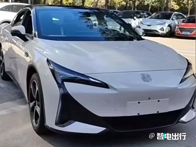 阿尔法域是什么