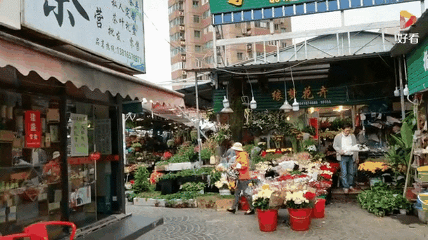 上海花鸟市场批发市场
