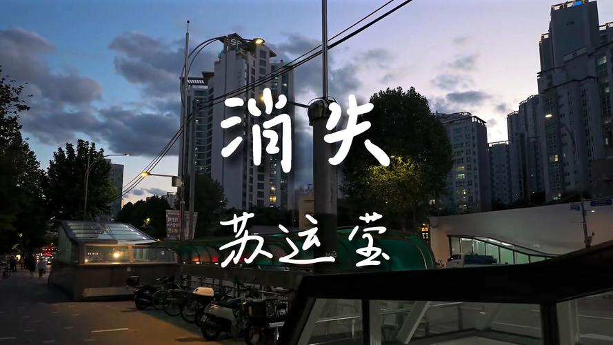 qq音乐收藏的音乐全消失了