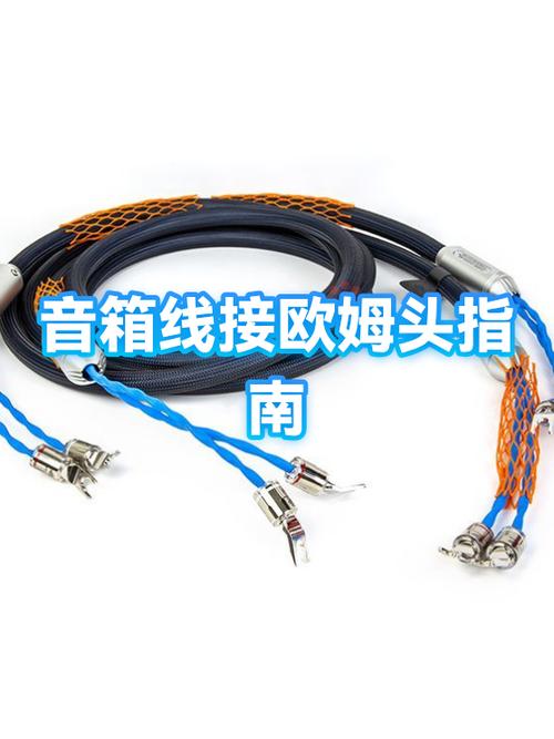 欧姆插头的接法