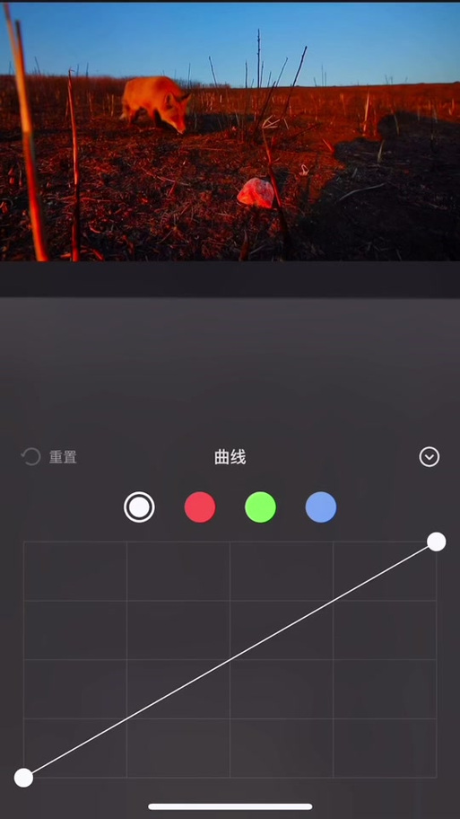 剪映的拍摄功能不见了缩略图