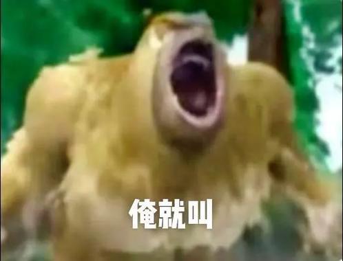 抖音上一只熊崩溃的表情