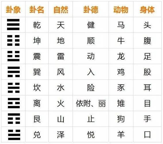 八卦的真实水平是什么
