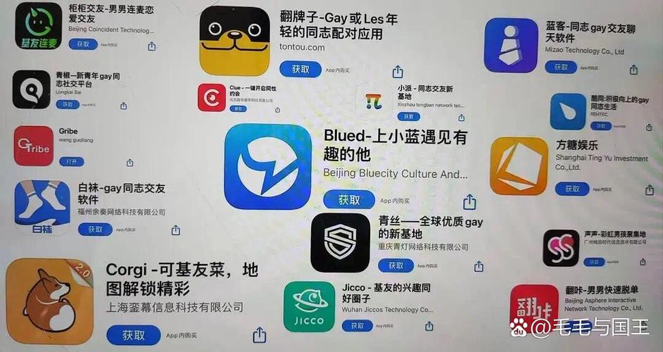 蓝客同志交友软件的特点