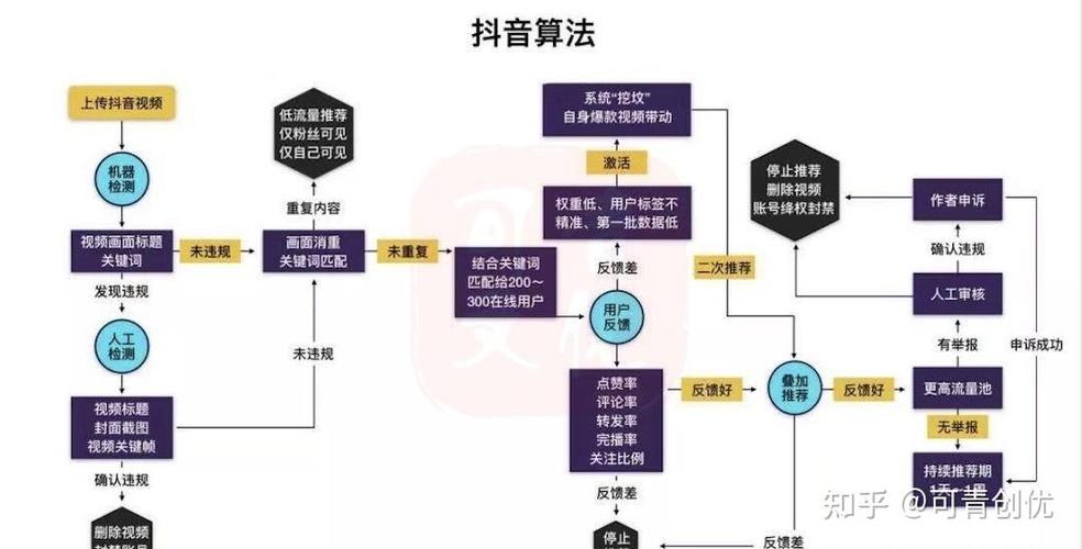 抖音怎么留电话不违规