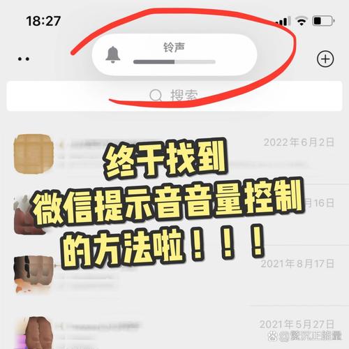如何调整iPhone提示音大小