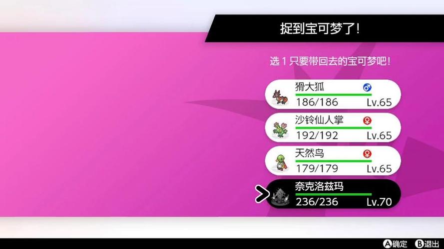 神奇宝贝剑盾游戏