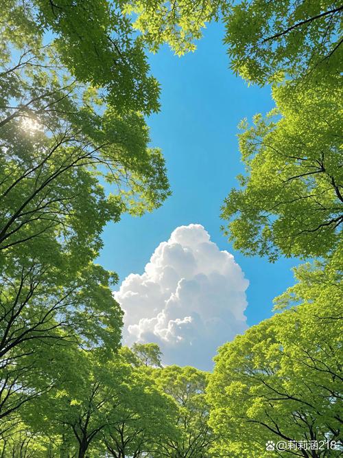 今天拍的太阳图片都有小亮点的原因