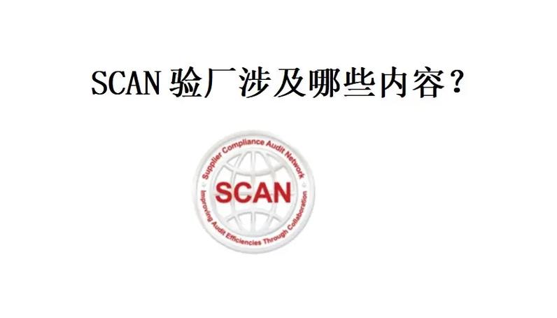 scan是什么