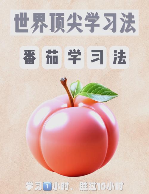番茄学习