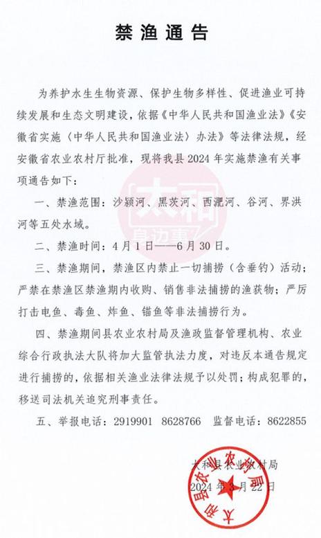 通告什么情况下用