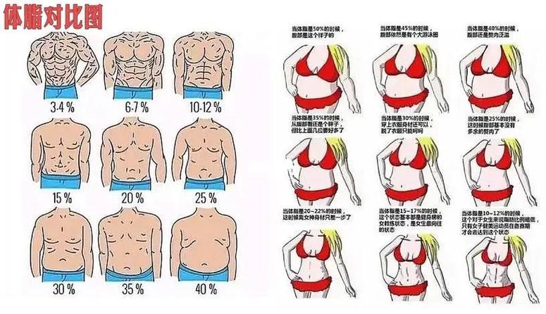 体脂率高怎么办