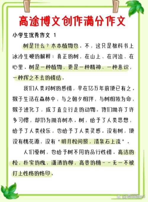 人物作文三年级300字左右