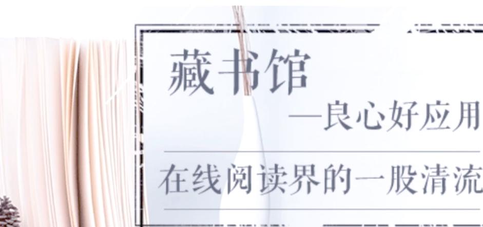 藏书馆借不了书