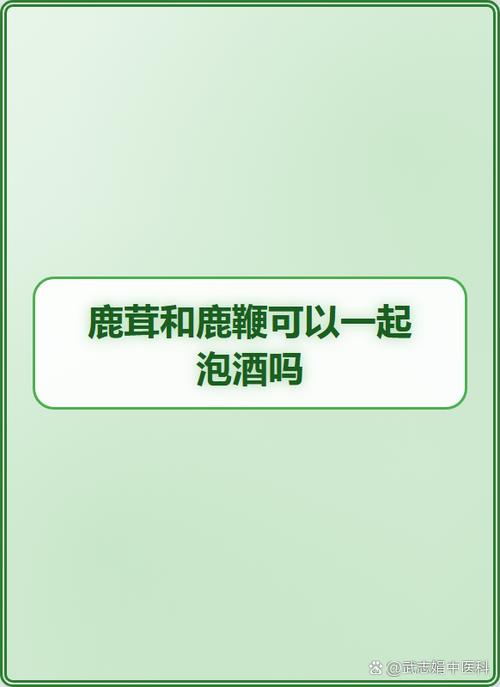 鹿茸和鹿鞭哪个壮阳效果好
