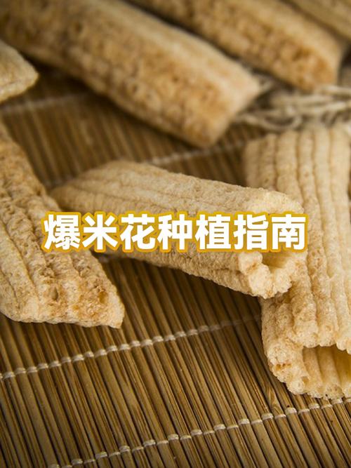 爆米花制作方法视频