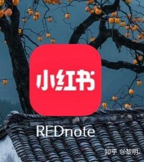 怎样知道小红书免流成功