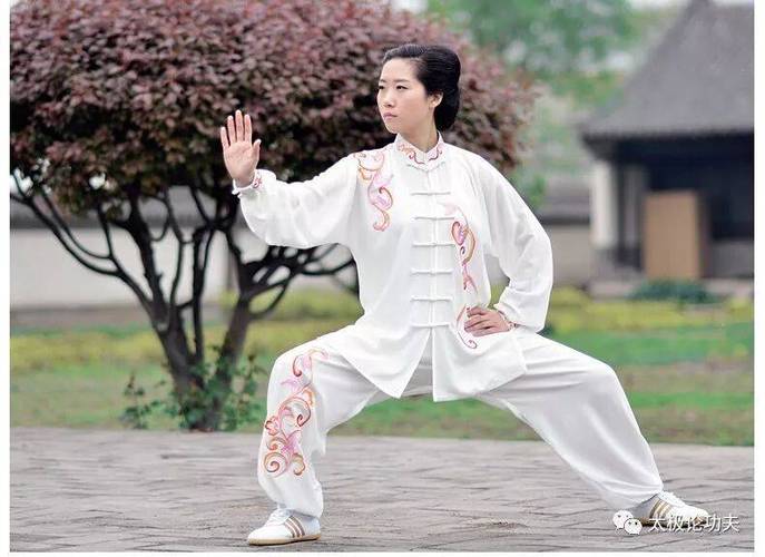 除了太极还有什么可以学