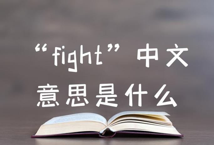 fight中文翻译