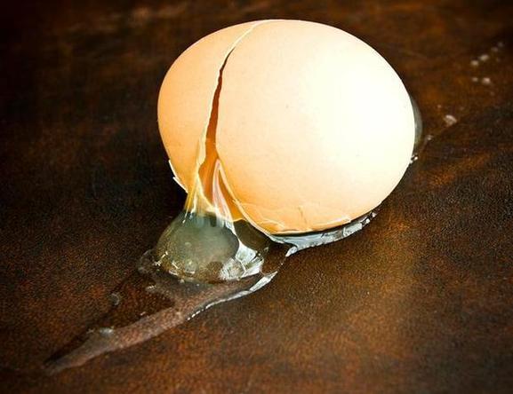 生鸡蛋壳和熟鸡蛋壳缩略图