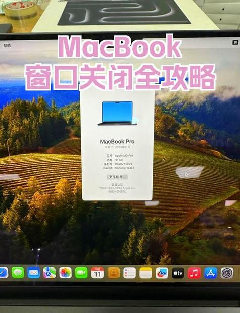 苹果电脑如何关闭扩展模式缩略图