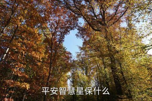 平安保险智能星17