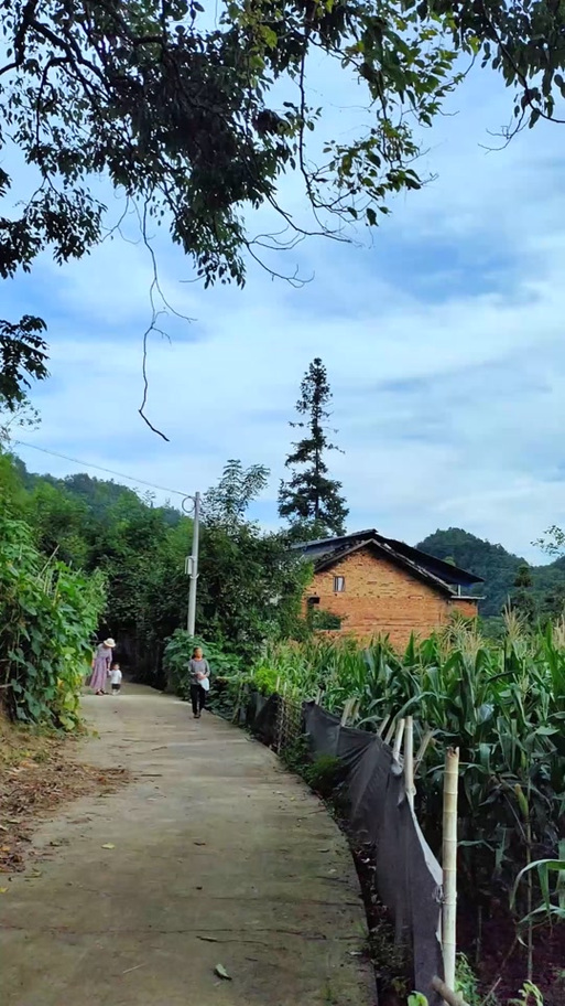 拍自己农村老家发朋友圈