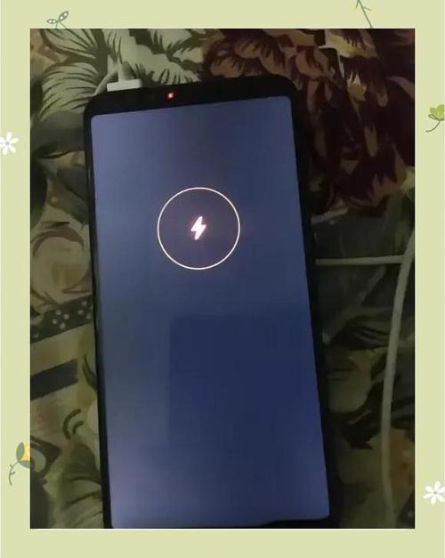 手机受冻后快速没电