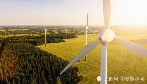 风电龙头10股一览表
