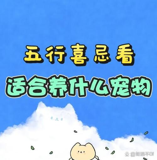 养猫是补火还是补木