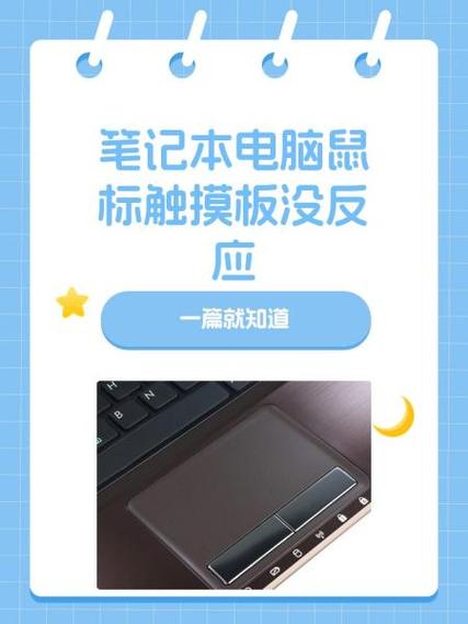 鼠标在桌面上点没反应