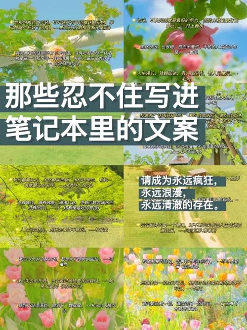 笔记本第一页文案