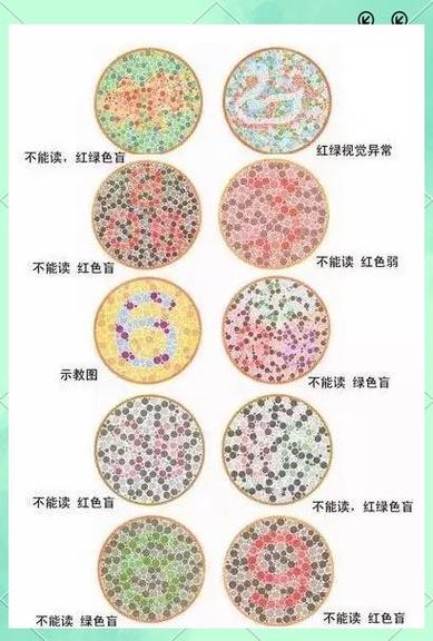 色盲怎么考驾照