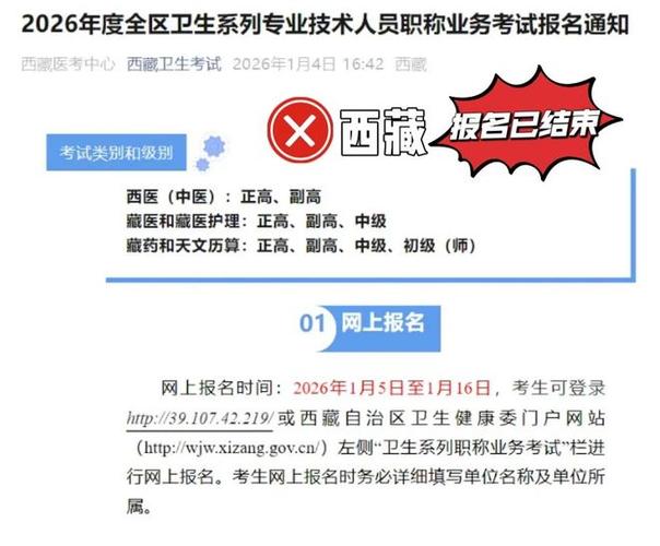 2026年副高报名入口