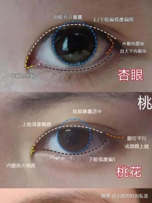 杏眼和桃花眼哪个漂亮