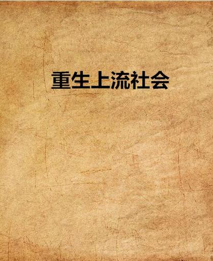 《上流社会》小说