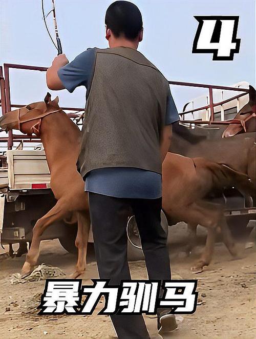 驯服马的方法缩略图